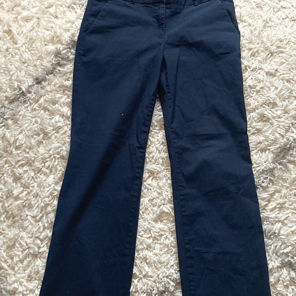 Long Baggy J. Crew Skater Pants